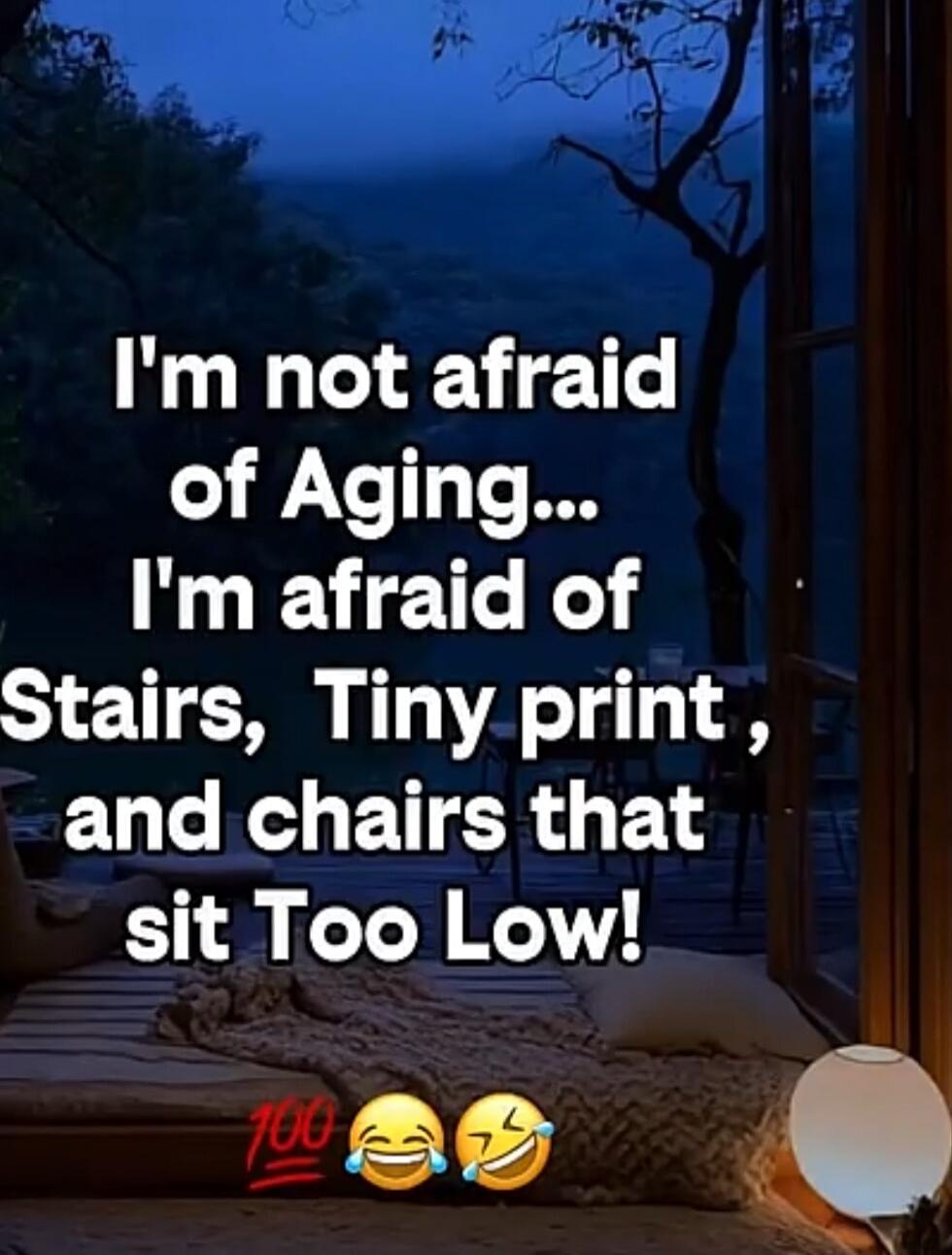 I'm not afraid of Aging... I'm afraid of Stairs, Tiny print, and chairs that sit Too Low! 💯😂🤣