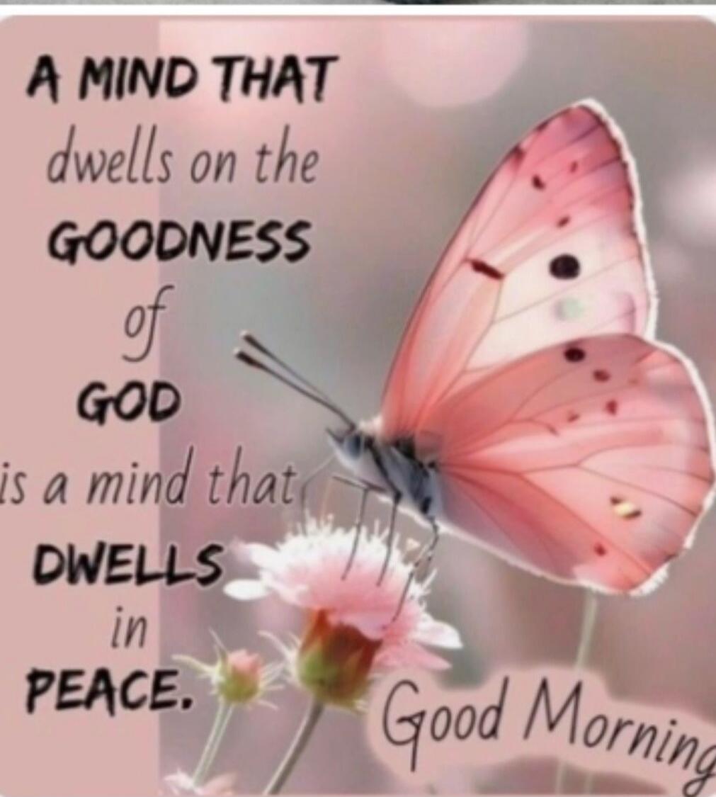A MIND THAT dwells on the GOODNESS of GOD is a mind that DWELS in PEACE. Good Morning