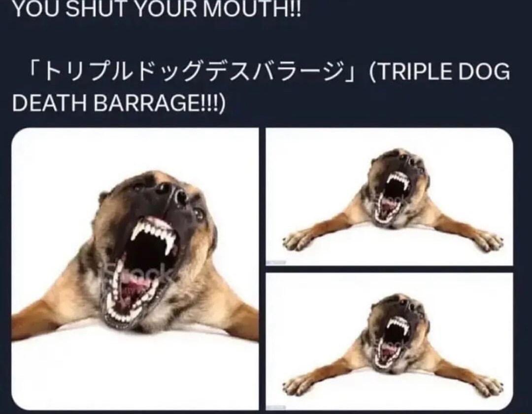 TRUZIILE Y I FZINS2 TRIPLEDOG DEATH BARRAGE