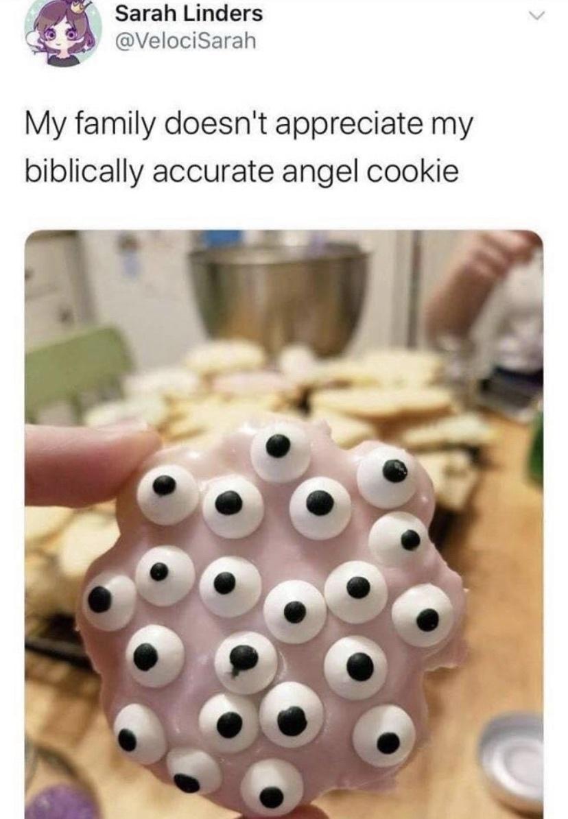 Sarah Linders g VelociSarah My family doesnt appreciate my biblically accurate angel cookie
