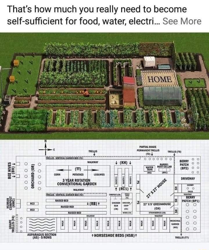 Thats how much you really need to become self sufficient for food water electri See More m 2 mJ oM oo THORSESHOEBEDS 58T