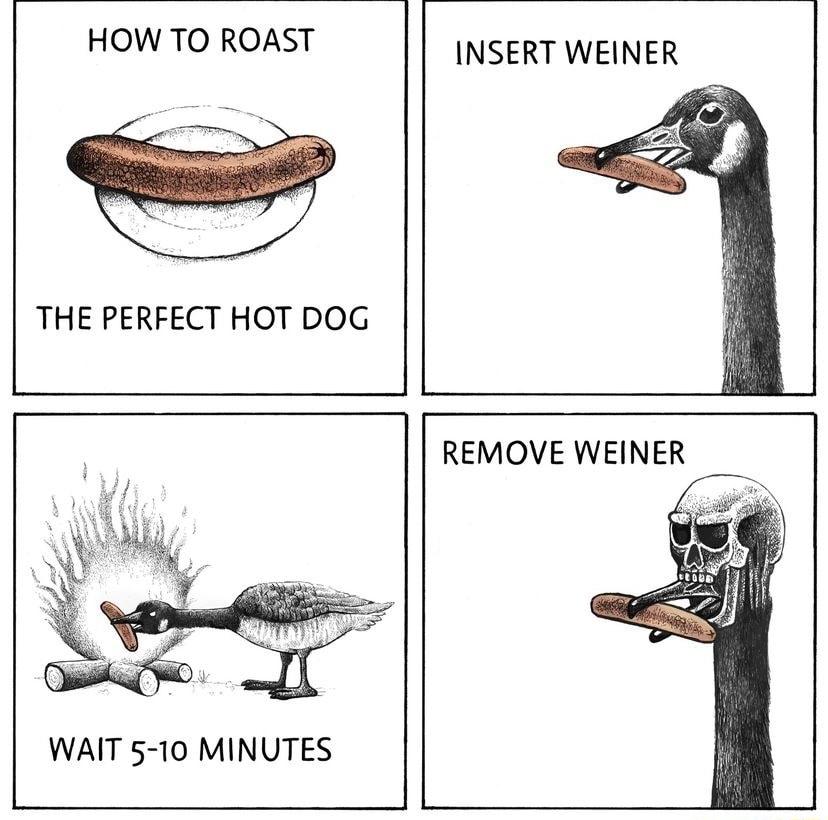 HOW TO ROAST THE PERFECT HOT DOG INSERT WEINER WAIT 5 10 MINUTES REMOVE WEINER
