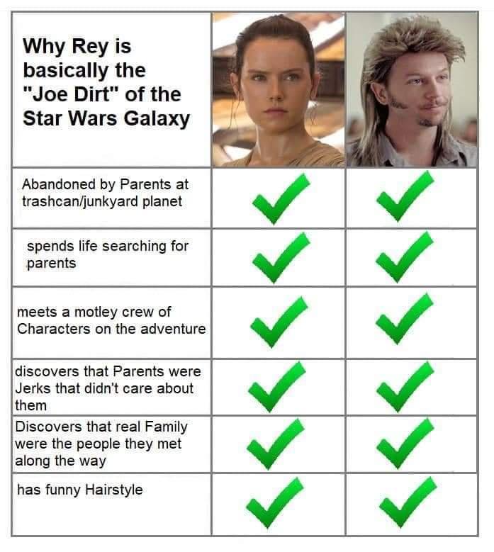 Why Rey is basically the Joe Dirt of the Star Wars Galaxy Abandoned by Parents at trashcanjunkyard planet spends life searching for parents meets a motley crew of Characters on the adventure discovers that Parents were Jerks that didnt care about them Discovers that real Family were the people they met along the way has funny Hairstyle