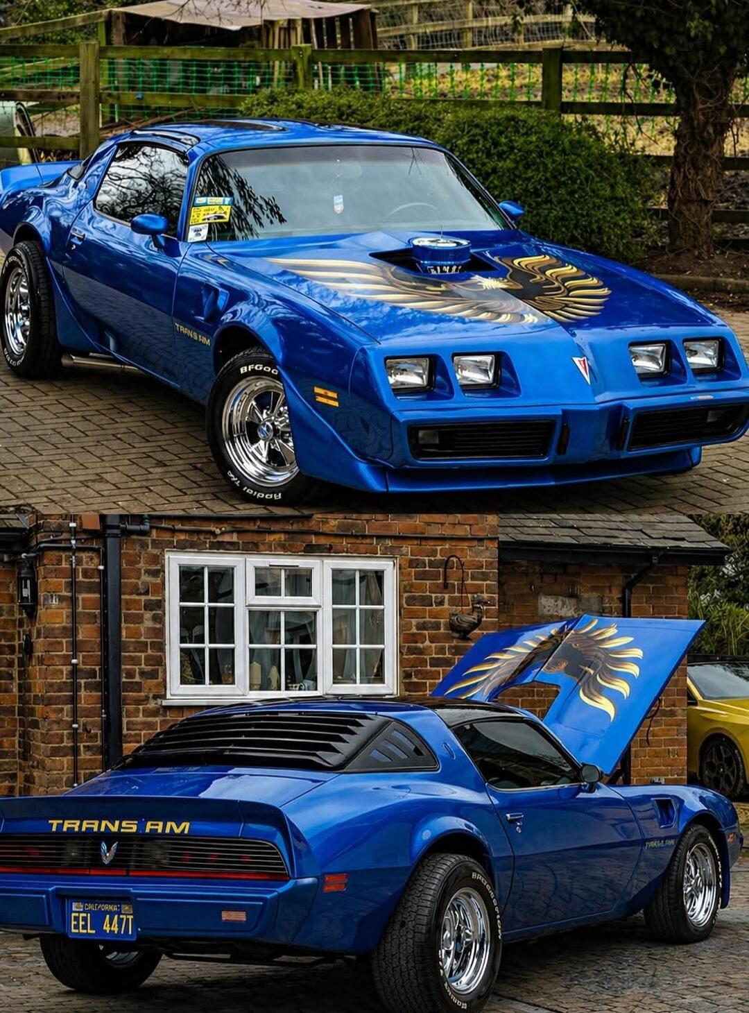 TRANS AM BFGoodrich Radial T/A CALIFORNIA EEL 447T