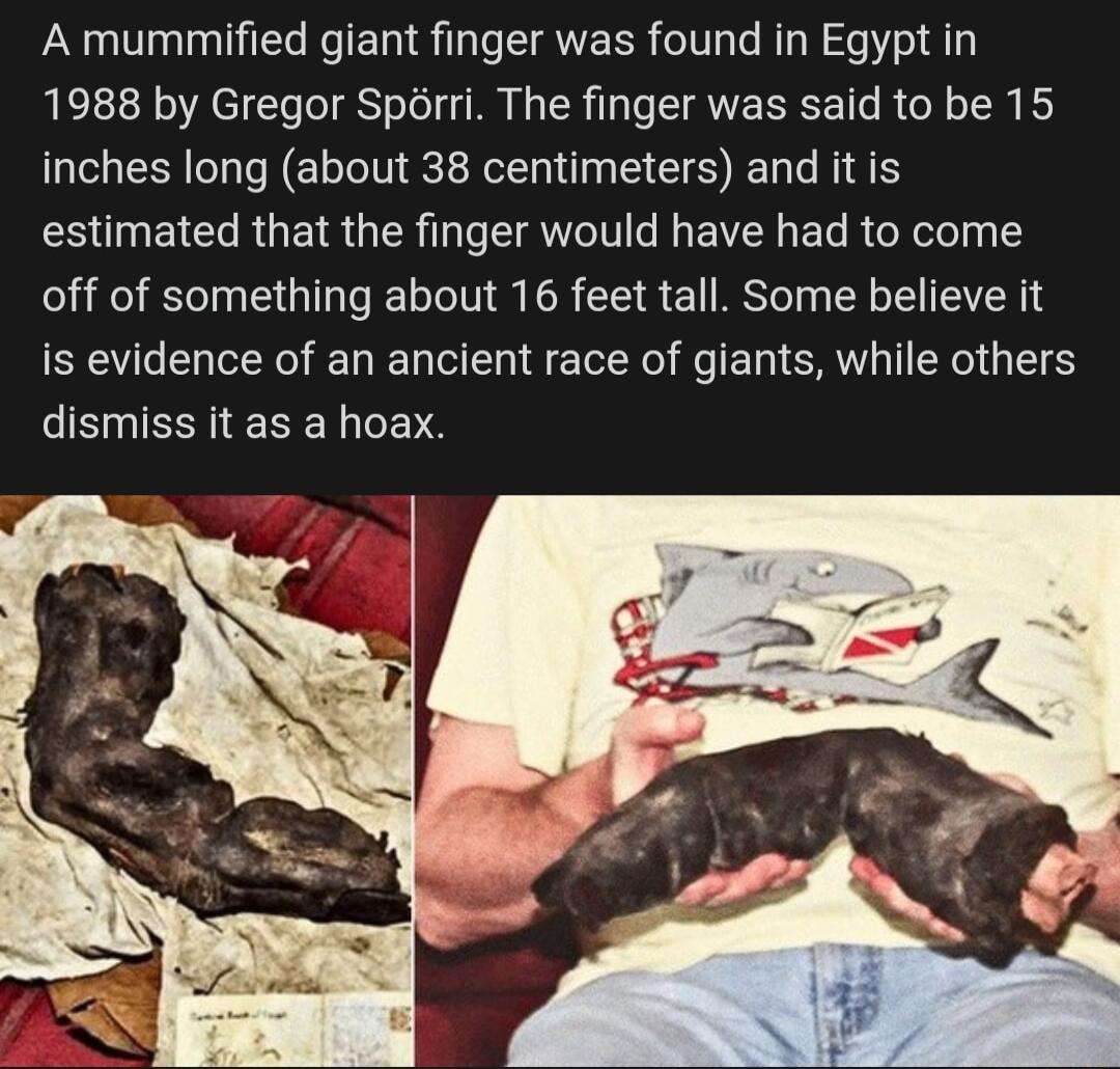 A mummified giant finger was found in Egypt in 1988 by Gregor Sprri The finger was said to be 15 inches long about 38 centimeters and it is estimated that the finger would have had to come off of something about 16 feet tall Some believe it is evidence of an ancient race of giants while others SNERNERET TS