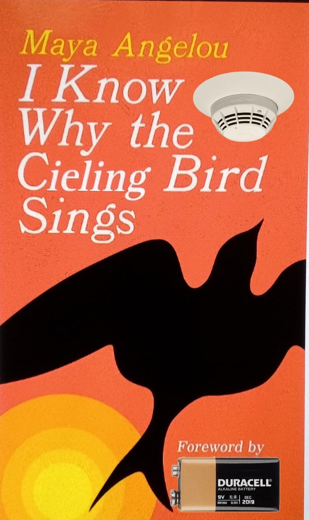 I Know Why the Cieling Bird Sings