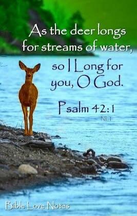 As the deer longs for streams of water, so I Long for you, O God. Psalm 42:1 Bible Love Notes