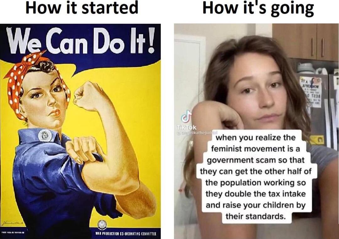 How it started We Can Dol How its going when you realize the feminist movement is a government scam so that they can get the other half of the population working so they double the tax intake and raise your children by g their standarcs