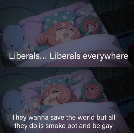 Liberals Liberals everywhere They wanna save the world but all they do is smoke pot and be gay