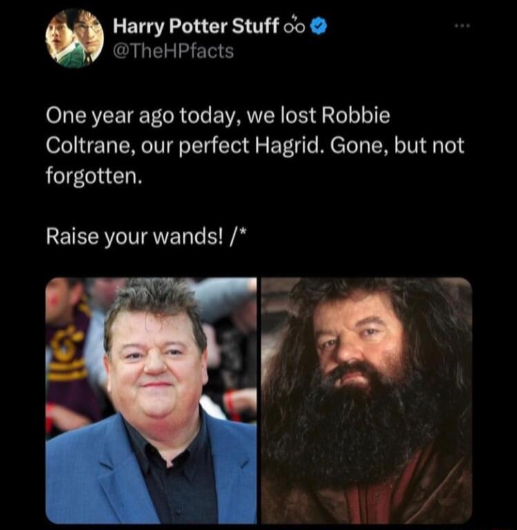 il Harry Potter Stuff oo TheHPfacts One year ago today we lost Robbie Coltrane our perfect Hagrid Gone but not forgotten Raise your wands