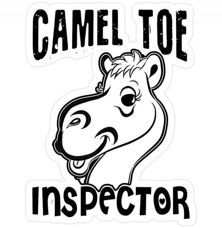 CAMEL TOE INSPECTOR
