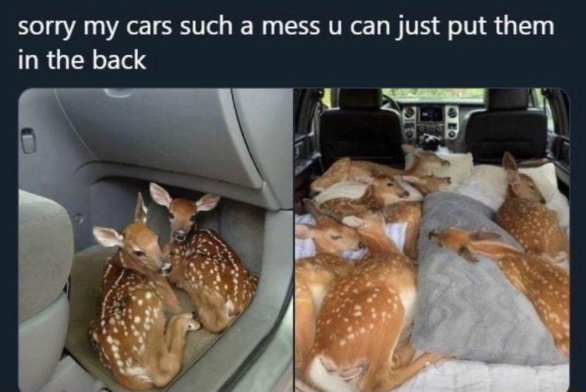 chio loveangelbdby sorry my cars such a mess u can just put them URGEYETY