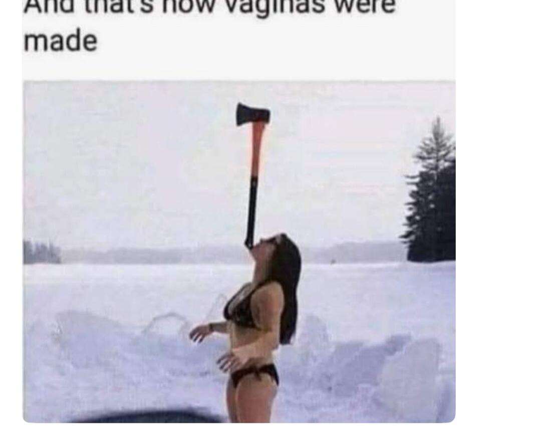 And that's how vaginas were made