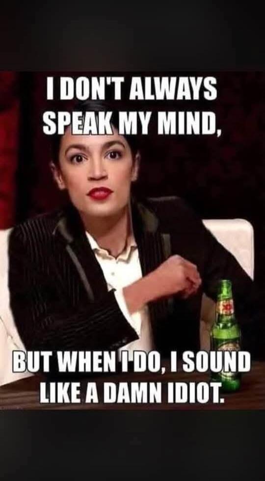 I DON'T ALWAYS SPEAK MY MIND, BUT WHEN I DO, I SOUND LIKE A DAMN IDIOT.