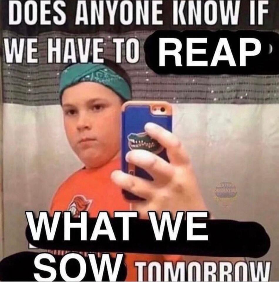 DOES ANYONE KNOW IF WE HAVETO REAP