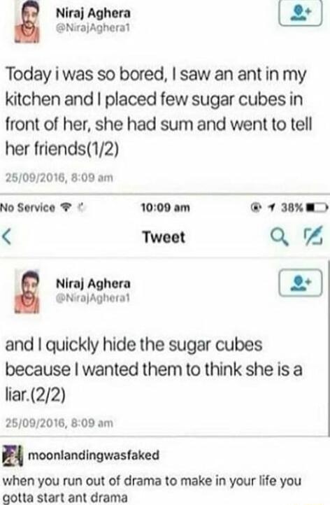 Niraj Aghera NirajAgheral Today i was so bored saw an antin my kitchen and placed few sugar cubes in front of her she had sum and went to tell her friends12 26092016 800 am No Service 1000 am 7 38 WD Tweet Q i s and quickly hide the sugar cubes because wanted them to think she is a liar22 25092016 809 am moonlandingwasfaked when you run out of drama to make in your life you gotta start ant drama