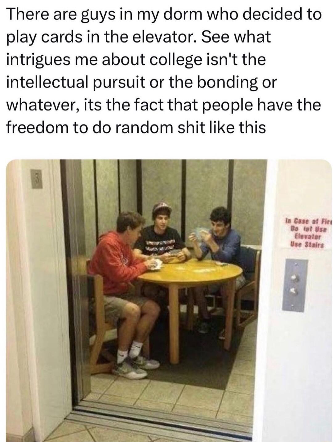 There are guys in my dorm who decided to play cards in the elevator See what intrigues me about college isnt the intellectual pursuit or the bonding or whatever its the fact that people have the freedom to do random shit like this