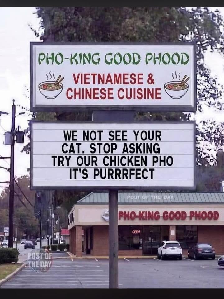 PHO-KING GOOD PHOOD VIETNAMESE & CHINESE CUISINE WE NOT SEE YOUR CAT. STOP ASKING TRY OUR CHICKEN PHO IT'S PURRRFECT POST OF THE DAY OPEN