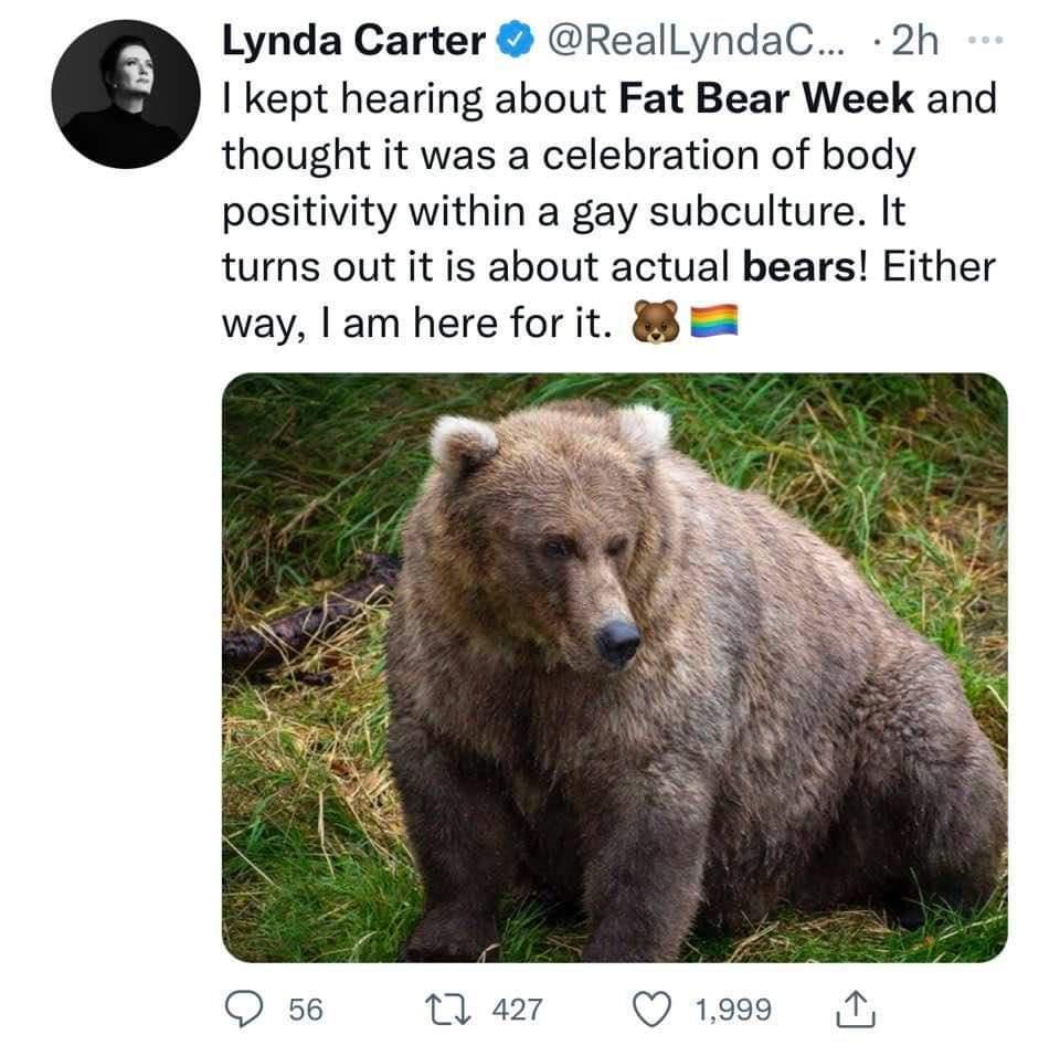 Lynda Carter RealLyndaC 2h kept hearing about Fat Bear Week and thought it was a celebration of body positivity within a gay subculture It turns out it is about actual bears Either way am here for it 88 2