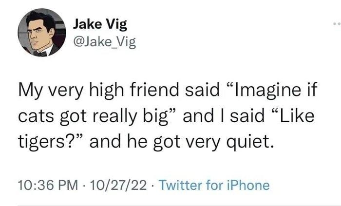 Jake Vig Jake_ Vig My very high friend said Imagine if cats got really big and said Like tigers and he got very quiet 1036 PM 102722 Twitter for iPhone 89 Retweets 2 Quote Tweets 628 Likes