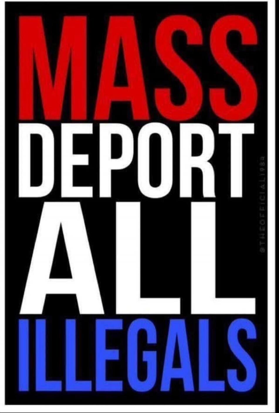 MASS DEPORT ALL ILLEGALS