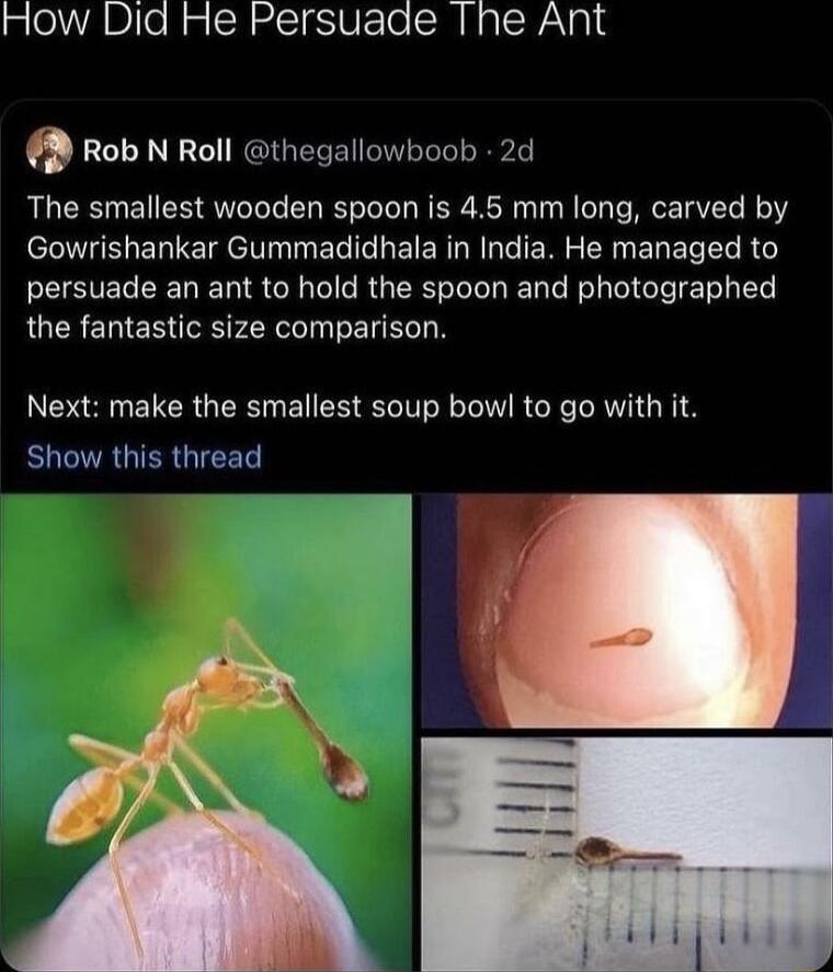 How Did He Persuade he Ant Rob N Roll thegallowboob 2d The smallest wooden spoon is 45 mm long carved by Gowrishankar Gummadidhala in India He managed to persuade an ant to hold the spoon and photographed the fantastic size comparison Next make the smallest soup bowl to go with it Show this thread