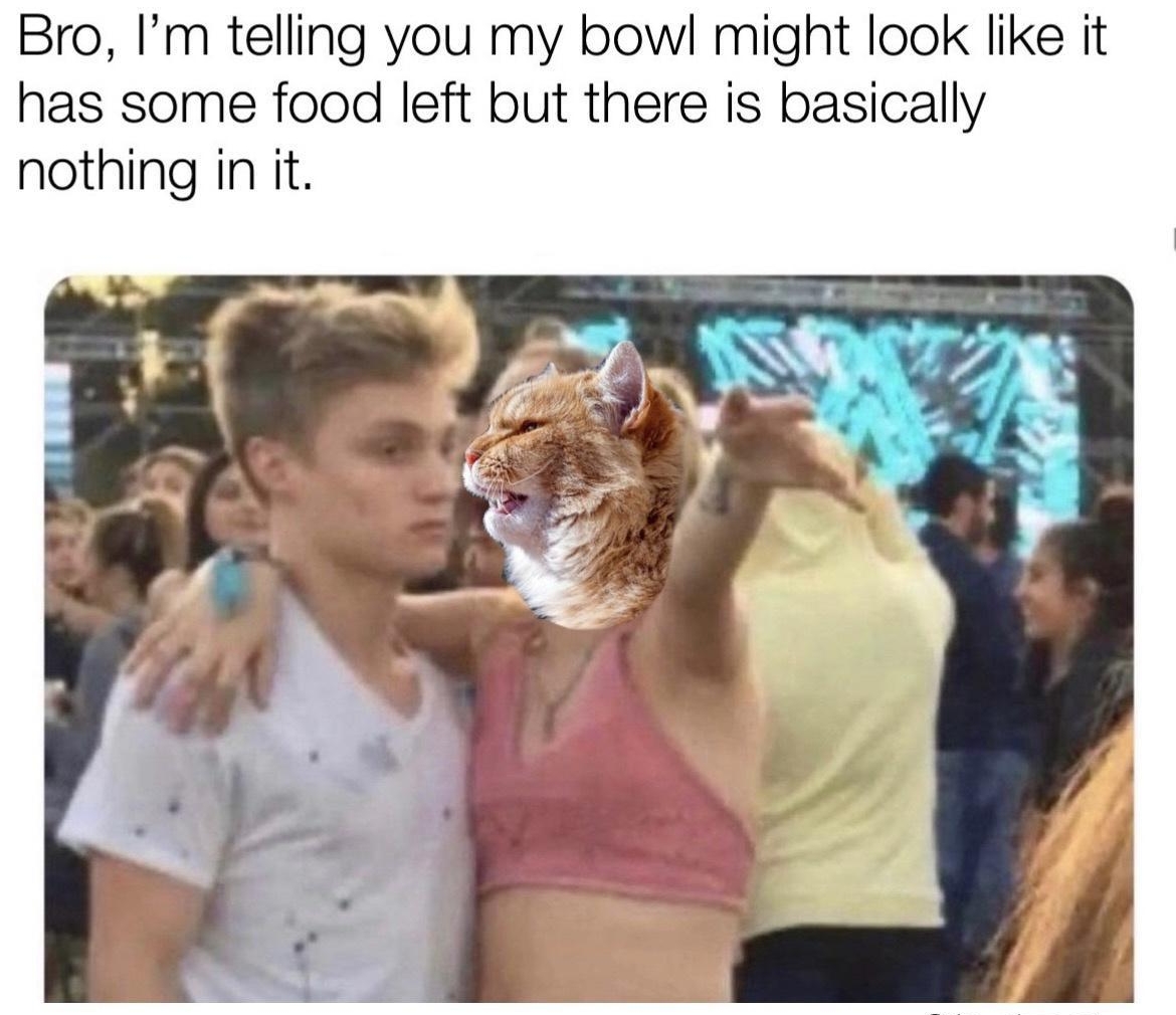 Bro Im telling you my bowl might look like it has some food left but there is basically nothing in it