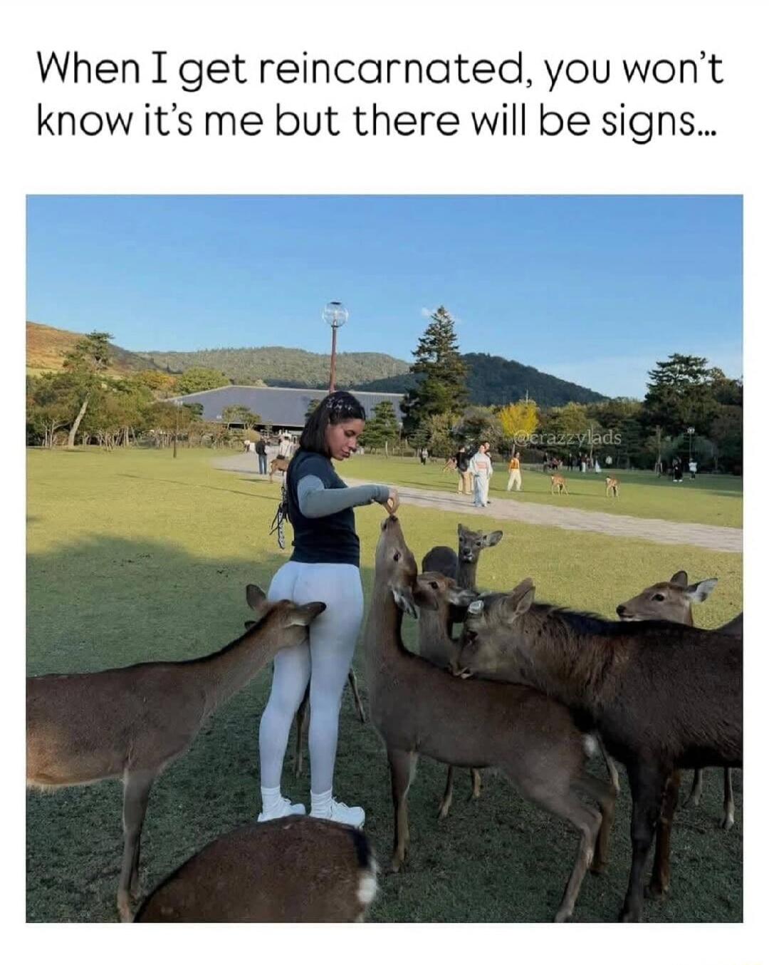 When I get reincarnated, you won’t know it’s me but there will be signs…