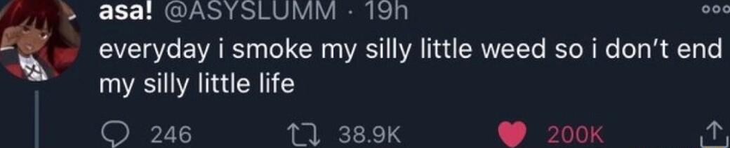 asal ASYSLUMM 19nh oo everyday i smoke my silly little weed so i dont end my silly little life O 246 11 389K 200