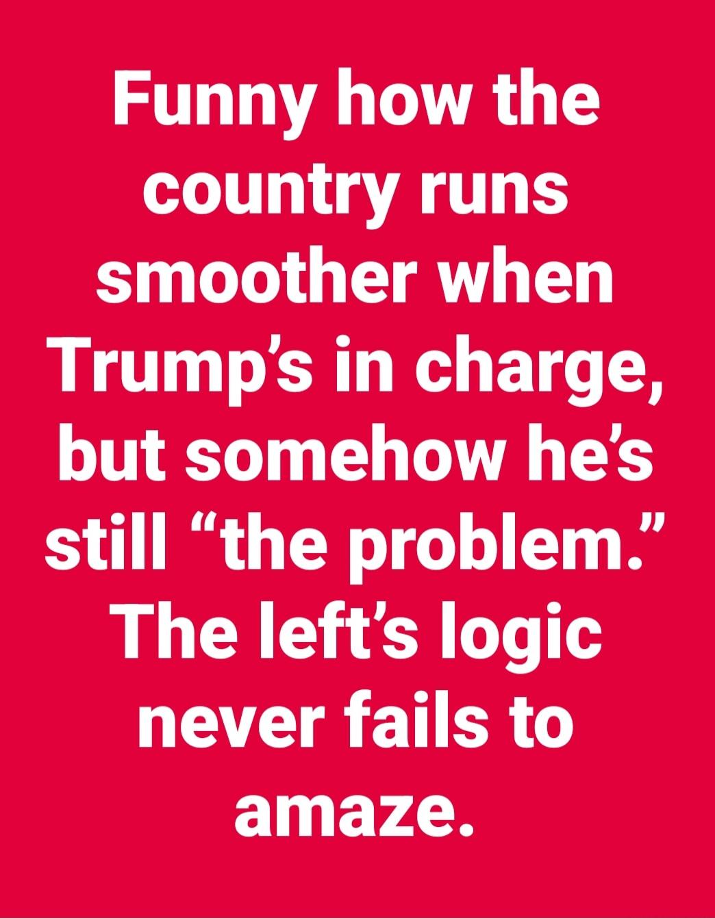 Funny how the country runs smoother when Trump’s in charge, but somehow he’s still “the problem.” The left’s logic never fails to amaze.