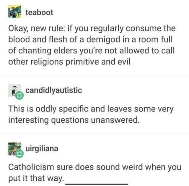 teaboot Okay new rule if you regularly consume the blood and flesh of a demigod in a room full of chanting elders youre not allowed to call other religions primitive and evil ge candidlyautistic This is oddly specific and leaves some very interesting questions unanswered 5 uirgiliana Catholicism sure does sound weird when you put it that way