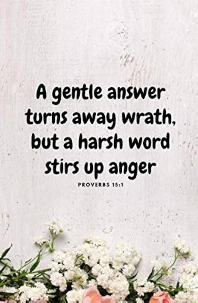 A gentle answer turns away wrath, but a harsh word stirs up anger PROVERBS 15:1