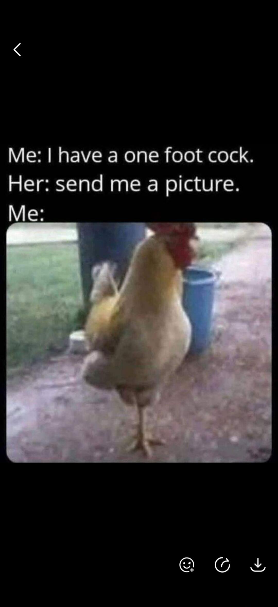 Me: I have a one foot cock. Her: send me a picture. Me: [Image of a rooster standing on one leg]