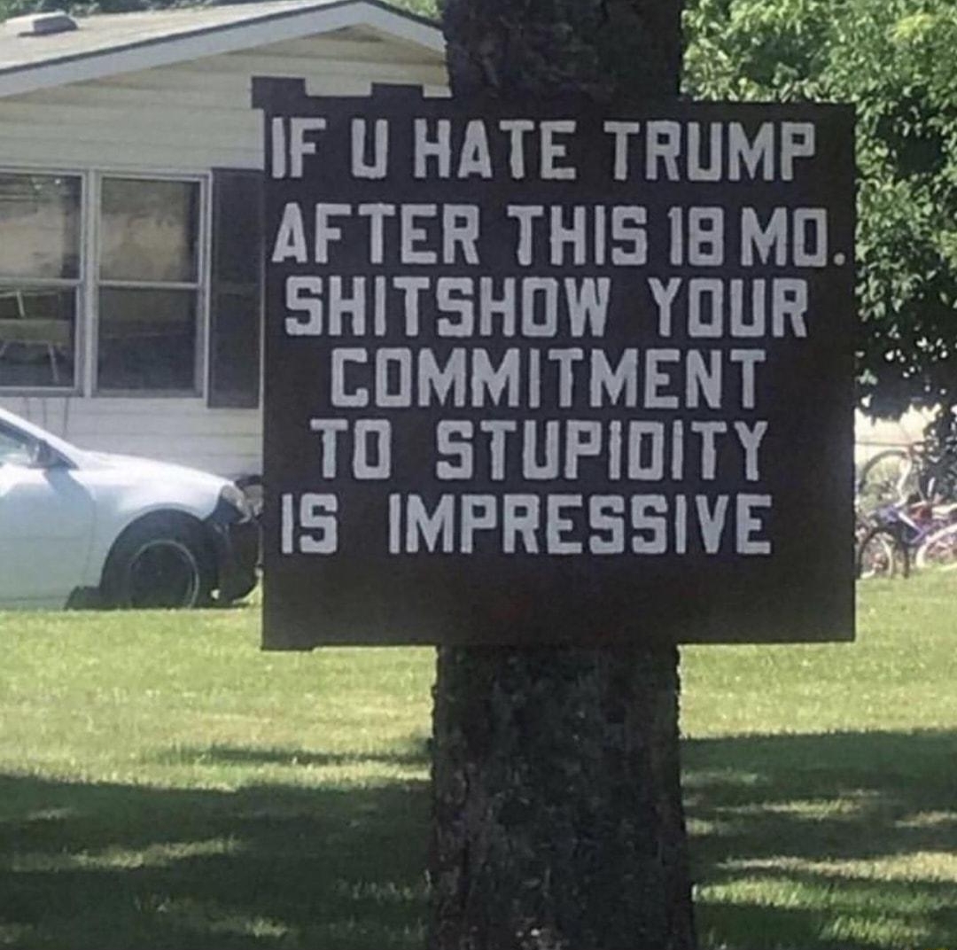 AFTER THIS I1BMO SHITSHOW YOUR COMMITMENT i TO STUPIOITY IS IMPRESSIVE b