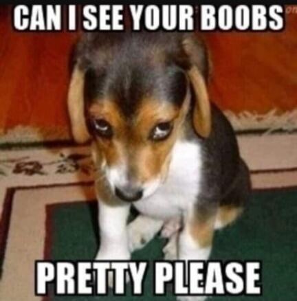 CAN I SEE YOUR BOOBS PRETTY PLEASE