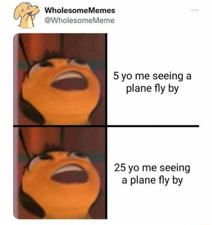 WholesomeMemes V WholesomeMeme 5yo me seeing a plane fly by 25yo me seeing a plane fly by