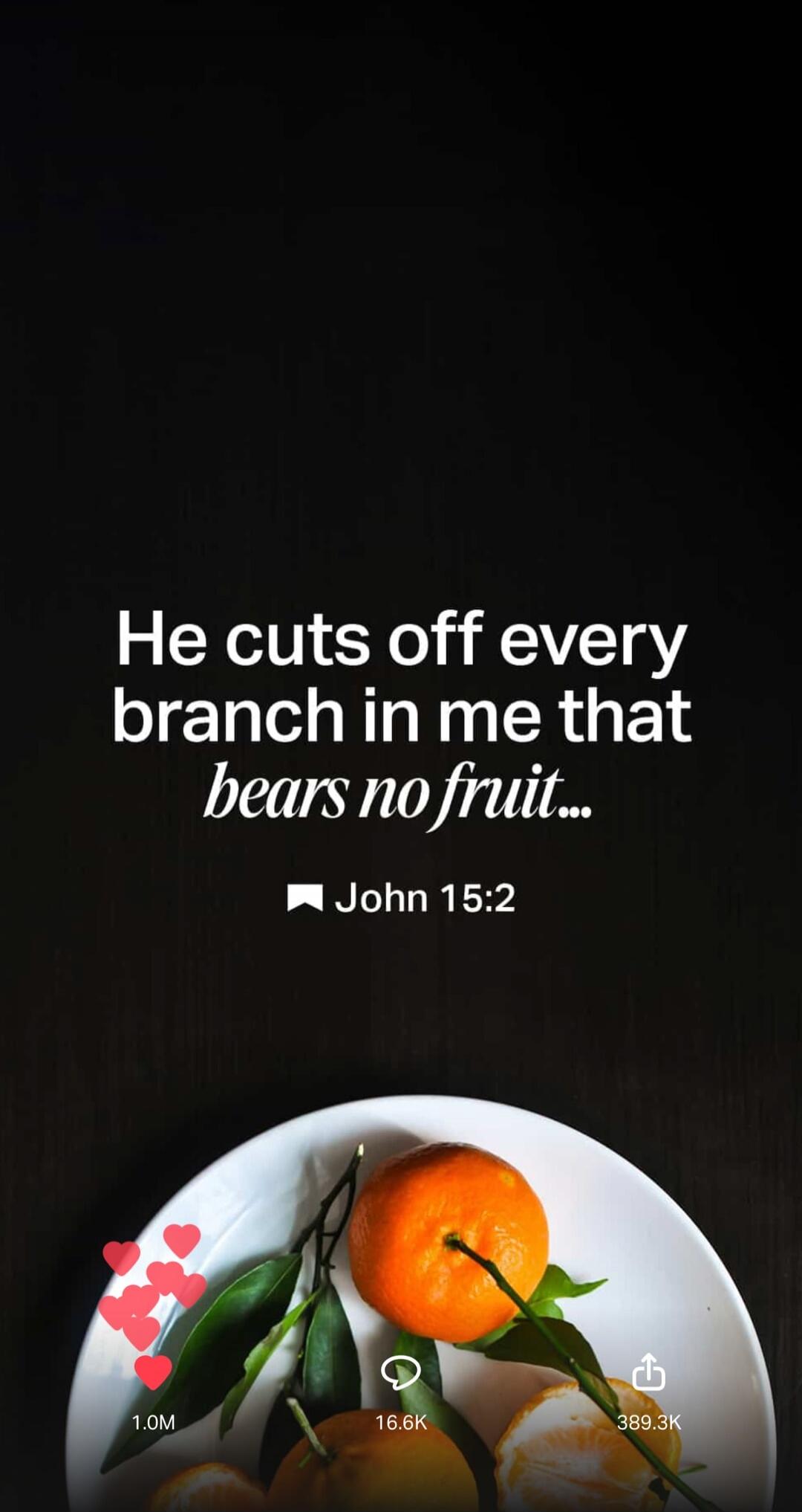 He cuts off every branch in me that bears no fruit... John 15:2