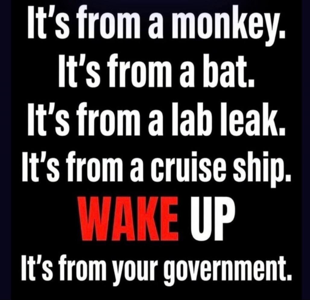 It's from a monkey. It's from a bat. It's from a lab leak. It's from a cruise ship. WAKE UP It's from your government.
