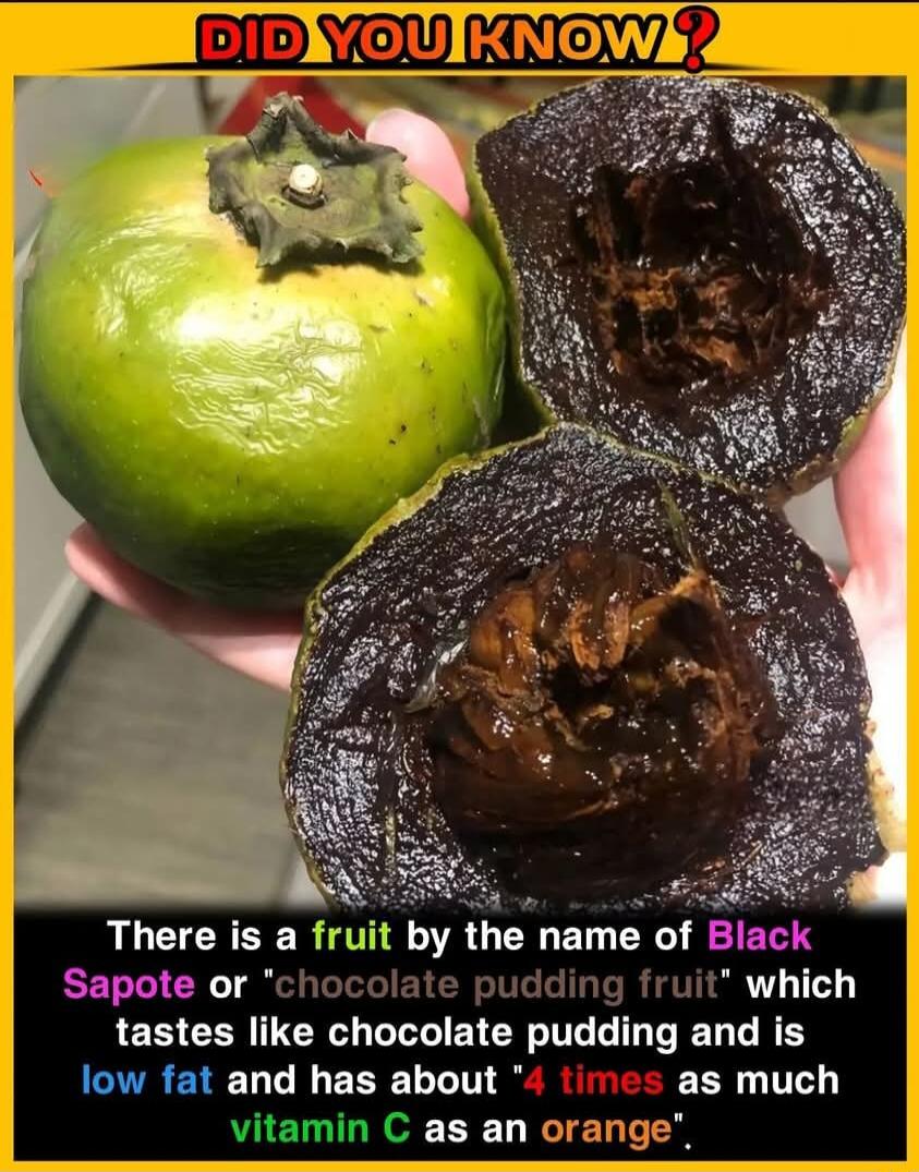 There is a fruit by the name of Black Sapote or chocolate pudding fruit which tastes like chocolate pudding and is low fat and has about as much vitamin C as an orange