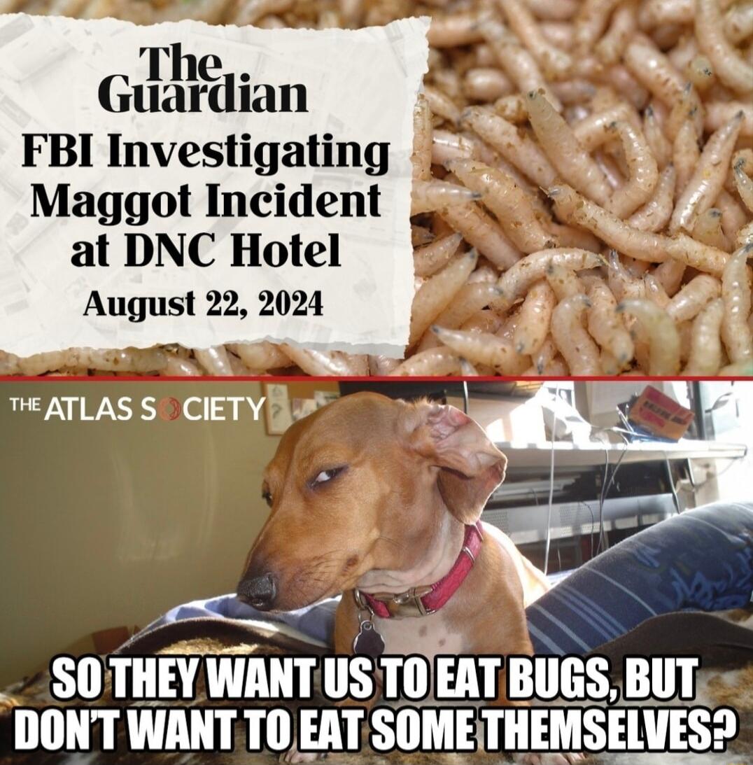 Maggot Incident at DNC Hotel August 22 2024 TEATLASS CIETY ns V _ SOTHEY WANT llS fAT BIIGS BUT DONT WANT TO EAT SllMETIIEMSEWES