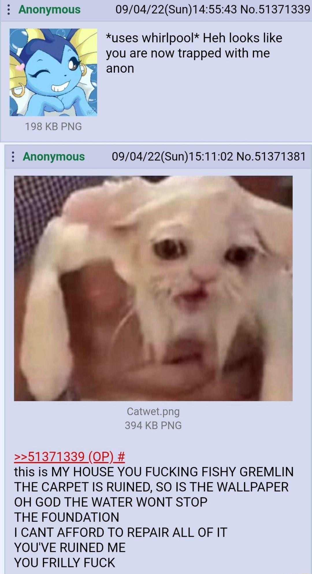 i Anonymous 090422Sun145543 No51371339 uses whirlpool Heh looks like you are now trapped with me anon L 198 KB PNG i Anonymous 090422Sun151102 No51371381 3 Catwetpng 394KB PNG 51371339 OP this is MY HOUSE YOU FUCKING FISHY GREMLIN THE CARPET IS RUINED SO IS THE WALLPAPER OH GOD THE WATER WONT STOP THE FOUNDATION CANT AFFORD TO REPAIR ALL OF IT YOUVE RUINED ME YOU FRILLY FUCK