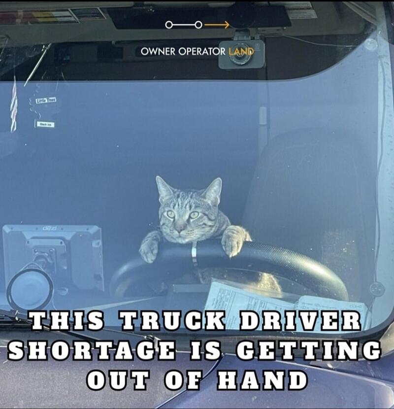 OWNER OPERATOR LAND Little Trees THIS TRUCK DRIVER SHORTAGE IS GETTING OUT OF HAND