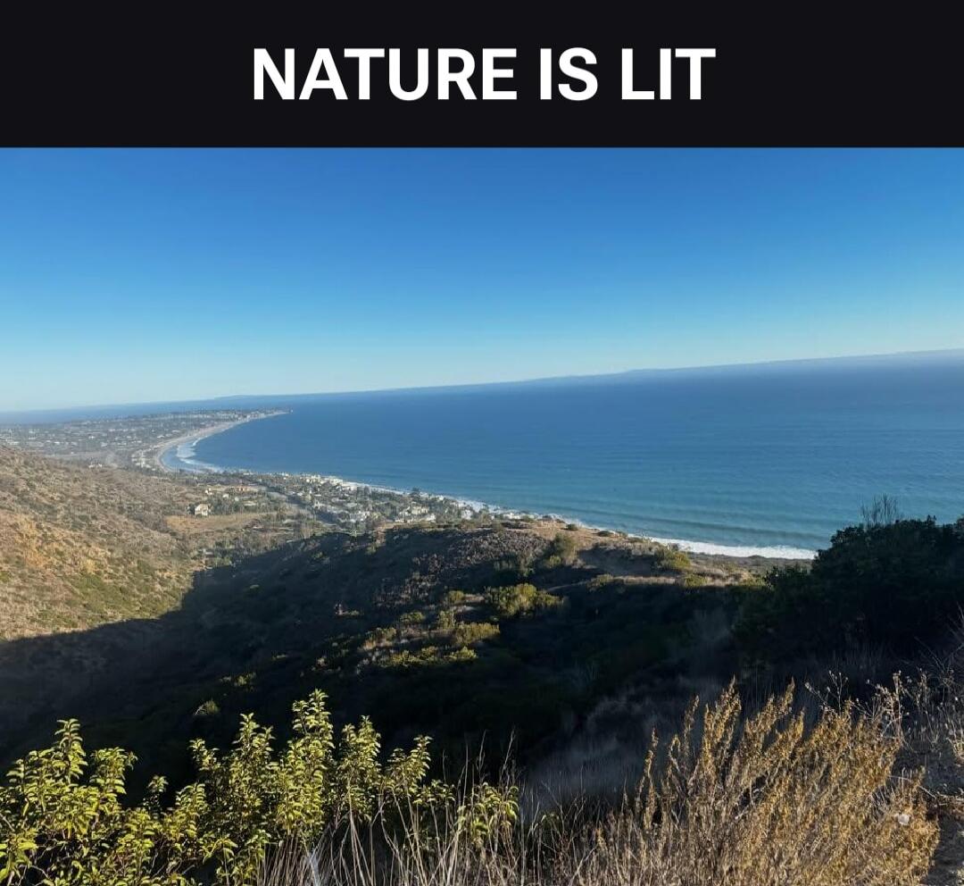 NATURE IS LIT