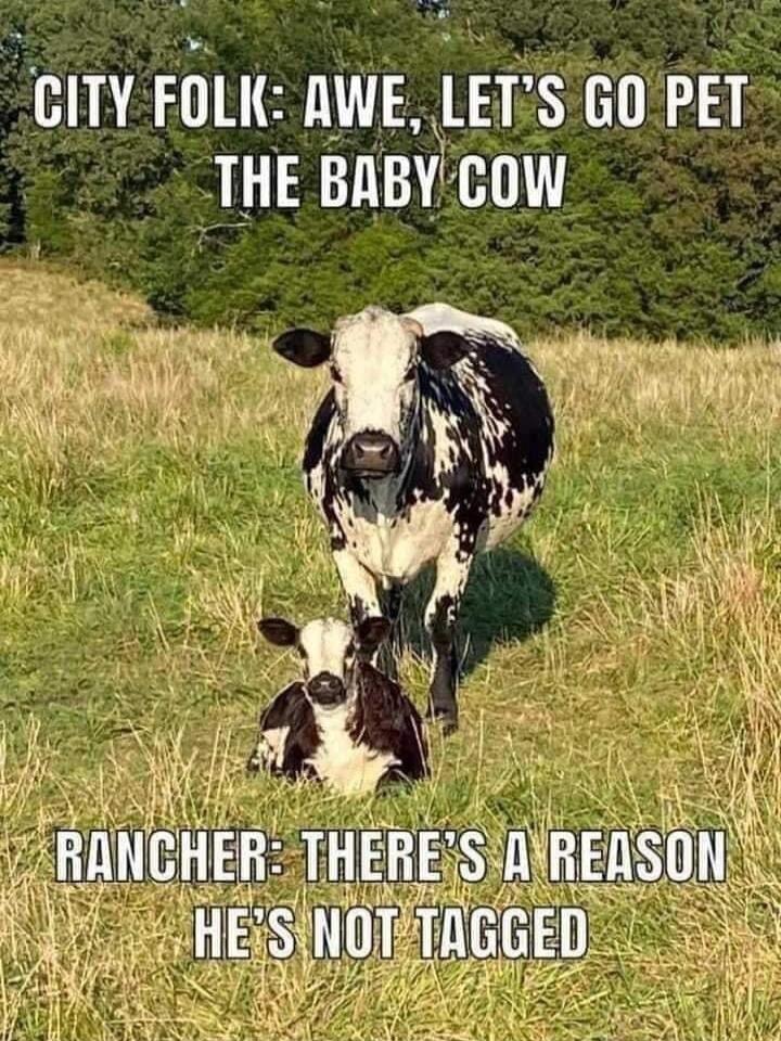 GITY FDLI AWE lET S GOPET BABY 1