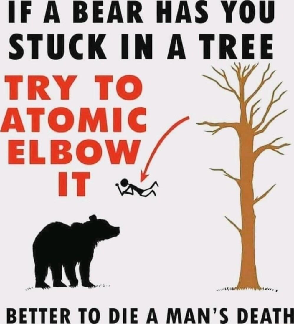 IF A BEAR HAS YOU STUCK IN A TREE TRY TO ATOMIC ELBOW IT o w BETTER TO DIE A MANS DEATH