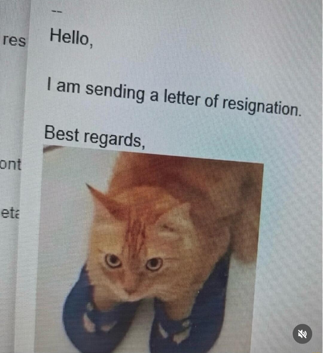 Hello, I am sending a letter of resignation. Best regards,
