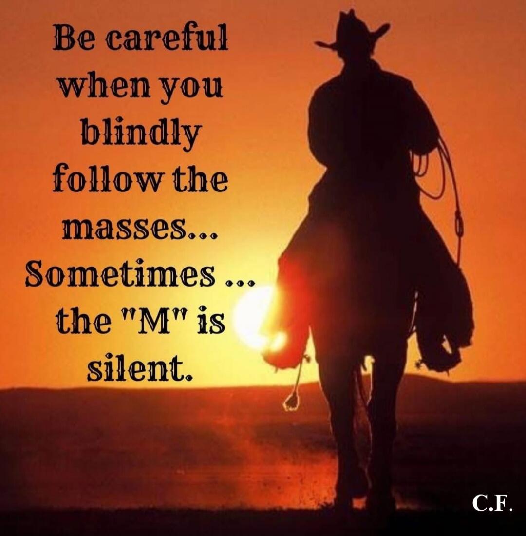 Be careful when you blindly follow the masses... Sometimes ... the 