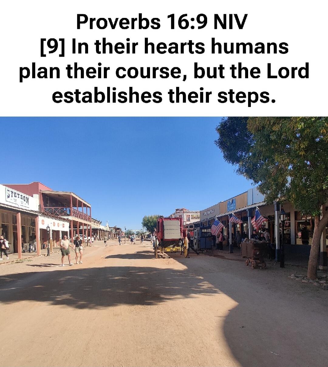 Proverbs 16:9 NIV [9] In their hearts humans plan their course, but the Lord establishes their steps.