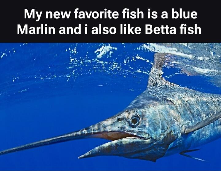 My new favorite fish is a blue Marlin and i also like Betta fish