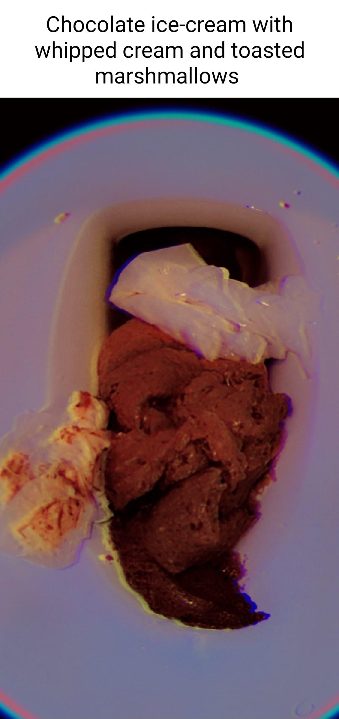 Chocolate ice cream with whipped cream and toasted marshmallows